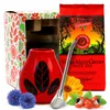 Geschenkset Mate Green yerba mate-tee Mas Energia Guarana Produktbild-Vorschau 9