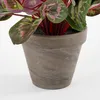 Mica Decorations Fiore artificiale di ciclamino - 30x30x30 Anteprima dell’immagine prodotto 3