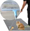 A person is using a cleaning brush to remove pet hair from a rug, with a cat sitting nearby. Náhled obrázku produktu