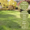 Majestic Sunny Green Trawa na suche stanowiska (4 kg) | Podgląd zdjęcia produktu 4