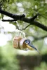 Esschert Design Beurre de cacahuètes d'oiseau pot assorti ; Voir les images du produit 5
