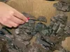 NOCH 58452, 6 Stück(e) Produktbild-Vorschau 10