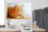 MuchoWow® Poster Katze - Holz - Schrank 180x120 cm - Produktbild-Vorschau 3