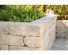 Mauersteine ANTIK GEK. MUSCHELK. 42/21/14 CM 72/DBP Produktbild-Vorschau 11