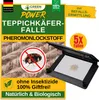 Teppichkäfer Falle mit Pheromonlockstoff, 5x Fallen, Produktbild-Vorschau 1