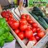 KOTARBAU® Gemüseschaufel Kartoffelschaufel Gemüsespaten aus Produktbild-Vorschau 4