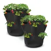 Erdbeer Pflanzsack im 2er Set - je 45 x 35 cm / 45 Liter - Produktbild-Vorschau 1