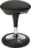 TopStar Sitzhocker Sitness 20 SI69G22 anthrazit Produktbild-Vorschau 1