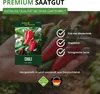 Chili Early Jalapeno Samen - Capsicum annuum - Chilisamen - Produktbild-Vorschau 8