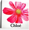 Chloe Signature Eau de Parfum edp 50ml + Body Lotion 100ml Produktbild-Vorschau 12