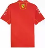Ferrari poloshirt, Puma, team, rood, maat M Productafbeelding-voorbeeld 3