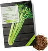 Selleriesamen (Tall Utah, 250 Korn) - Staudensellerie Produktbild-Vorschau 1