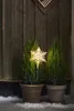 Two potted evergreen trees with a lighted star decoration in front of a wooden wall. Podgląd zdjęcia produktu