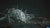 A character in a video game is facing a large, monstrous creature in a dark, desolate environment. Produktbild-Vorschau