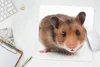 MuchoWow® Mauspad Mousepad Neugieriger Hamster 30x30 cm - Produktbild-Vorschau 5