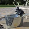 CLGarden Solar Wasserspeier Frosch NSP9 Springbrunnen für Produktbild-Vorschau 4