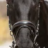Kieffer Trensenzaum VERA, Farbe:schwarz / braun unterl., Produktbild-Vorschau 4