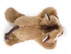 NICI Green Magnet-Tier Nasenbär Coaty 47956 - MagNICI Wild Produktbild-Vorschau 2