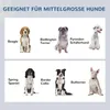 Ciotole per cani rialzate PAWHUT D08-036V00GY Anteprima dell’immagine prodotto 4