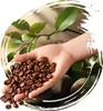 Grains de café 1 kg Brésil Santos Fraîchement torréfiés 100 Voir les images du produit 8