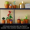 Miniaturn rostliny Náhled obrázku produktu 28
