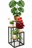 A multi-tiered plant stand with various potted plants. Náhled obrázku produktu