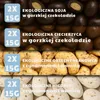 Landgarten Vegan Christmas kalendarz adwentowy 2026, 24 bio Podgląd zdjęcia produktu 6