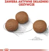 Royal Canin Medium Digestive Care, Dorosły, Średnie (11 - Podgląd zdjęcia produktu 5