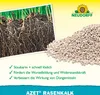 Neudorff Azet RasenKalk - 5 kg Produktbild-Vorschau 4