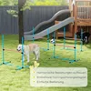 Zestaw do agility dla psów PawHut, 4-częściowy, z regulacją Podgląd zdjęcia produktu 7