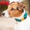 Kentucky Dogwear Hundehalsband Velvet Halsband Emerald XXS Produktbild-Vorschau 1