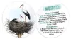 TRÖTSCH - Plüsch Storch 21 cm Produktbild-Vorschau 3