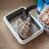 HUGS BY AKINU Silikátová podstielka pre mačky 5 l Náhľad obrázku produktu 2