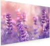 Küchenrückwand Spritzschutz Glas mit Motiv Lavendeltraum 40 Produktbild-Vorschau 1