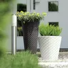 Prosperplast Blumentopf Matuba - anthrazit - Rattan - 26 Produktbild-Vorschau 7