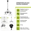 A product information graphic for a pendant light, featuring multiple images of the light and descriptive text with icons. Produktbild-Vorschau