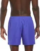 Nike Swim Herren Badehosen Blau : Größe - L Größe: L Produktbild-Vorschau 2
