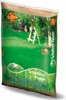 Trawa cieniolubna Pegasus (2 kg) | Nasiona trawnika od Podgląd zdjęcia produktu 1