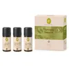 Primavera SET Aroma Sauna Frische & Energie 3x 10ml 1P PZN Produktbild-Vorschau 7