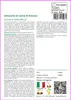 SAFLAX  - Sottaceto di corno di Kiwano - 10 semi - Con Anteprima dell’immagine prodotto 3