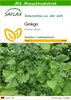 SAFLAX - Ginkgo - 4 Samen - Mit keimfreiem Anzuchtsubstrat Produktbild-Vorschau 1