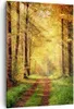 Bild auf Leinwand - Leinwandbild - Einteilig - Wald Baum Produktbild-Vorschau 1