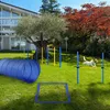 Pawhut Agility set voor honden, slalomtraining, Productafbeelding-voorbeeld 2