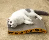 A cat is lying on a scratching pad on a carpeted floor. Produktbild-Vorschau