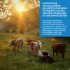 Poudre de collagène Aavalabs | Types I, III, V et X | 9 300 Voir les images du produit 7