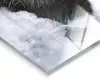 STYLER, pannello decorativo in vetro, 80x120 cm, motivo Anteprima dell’immagine prodotto 4