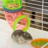 PawHut Kleintierkäfig Nagerkäfig Kleintierstall mit Rampe Produktbild-Vorschau 9