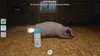 A pig is lying on straw in a barn, and a spray can is being used to disinfect it. Anteprima dell’immagine prodotto