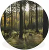 MuchoWow® Rundes Wandbild - Runde Bilder Wald - Sommer - Produktbild-Vorschau 1