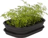 elho® Green Basics Anzucht-Deckel M Transparent 36 x 26 cm Produktbild-Vorschau 4